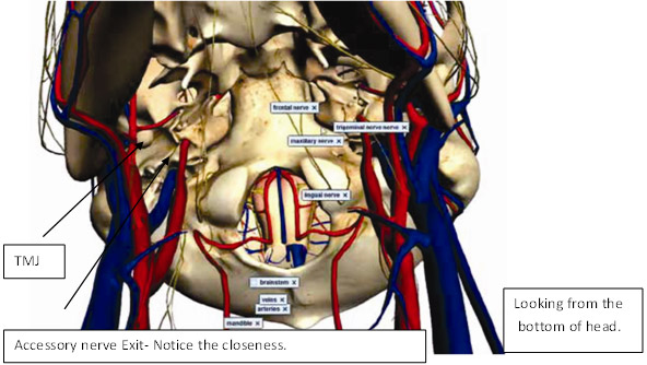 Jaw Joint Pain Treatment, TMJ Treatment In India